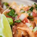 fish taco solo